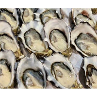 FRESH OYSTERS - HALF SHELL