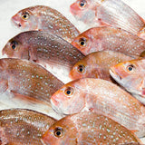 WHOLE BABY SNAPPER