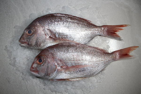 WHOLE BABY SNAPPER