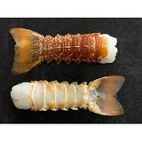 RAW LOBSTER TAILS
