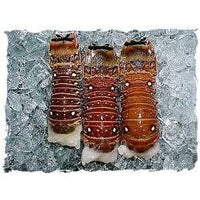 RAW LOBSTER TAILS