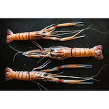 SCAMPI