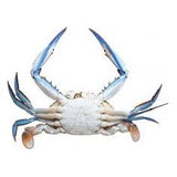 BLUE SWIMMER CRABS