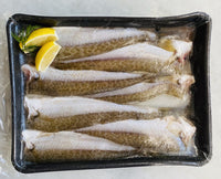 KING GEORGE WHITING FILLETS