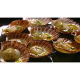 TASMANIAN SCALLOPS - HALF SHELL - PER DOZEN