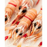 SCAMPI