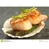 SCALLOPS ROE-OFF 10/20