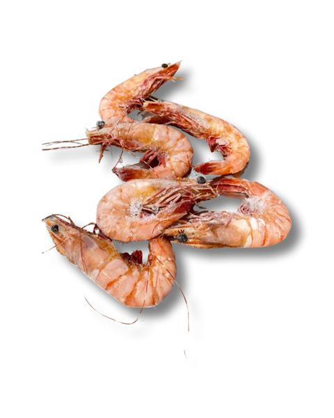 WHOLE COOKED TIGER QLD PRAWNS XL SIZE  5KG BOX